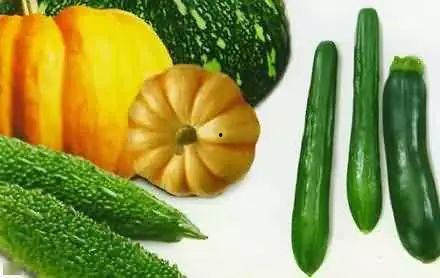 朝堂吃瓜第二十三集视频,宫廷秘闻再掀波澜,权谋斗争暗流涌动