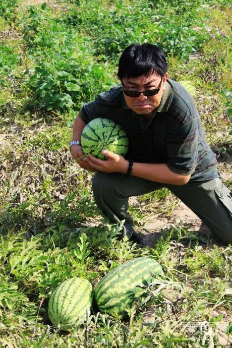 游街示众吃瓜视频下载,一场全民围观的社会现象揭秘