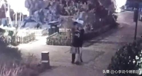 潍坊吃瓜事件视频,一场网络热议的幕后真相揭秘