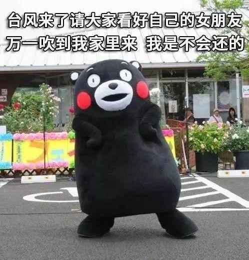 吃瓜小熊台风视频,趣味解读台风来袭