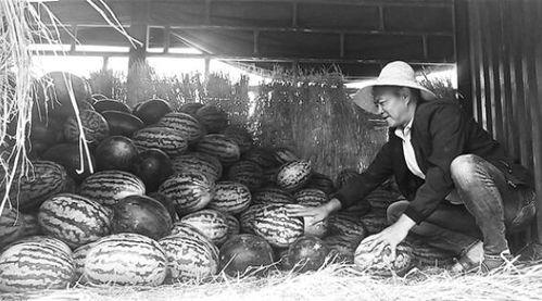 宜兴吃瓜群众事件视频曝光,视频曝光揭示惊人真相