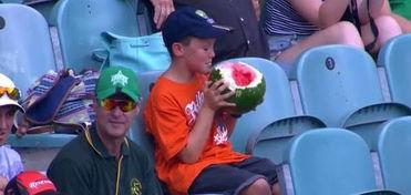 真实吃瓜 小男孩视频在线观看,萌态可掬,网友直呼可爱爆表