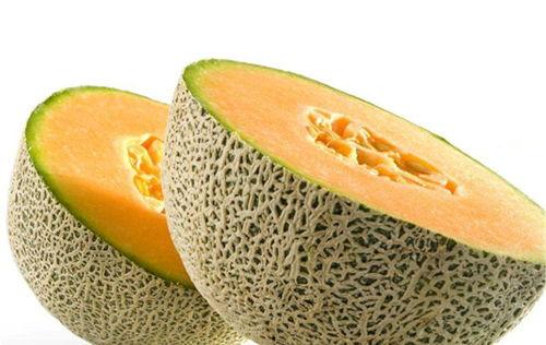 帝师吃哈密瓜视频,揭秘新疆瓜果的独特魅力