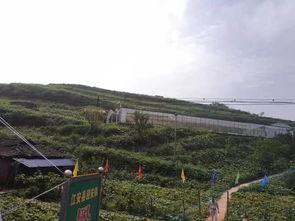 太白湖区吃瓜事件视频,一场引发热议的网络视频风波